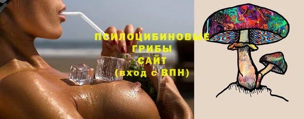 прущая мука Армянск