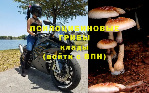 соль ск Арсеньев