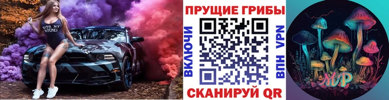Купить закладки  Суворов  Псилоцибиновые грибы MAGIC MUSHROOMS 